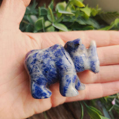 Sculpture de Rhinocéros en sodalite