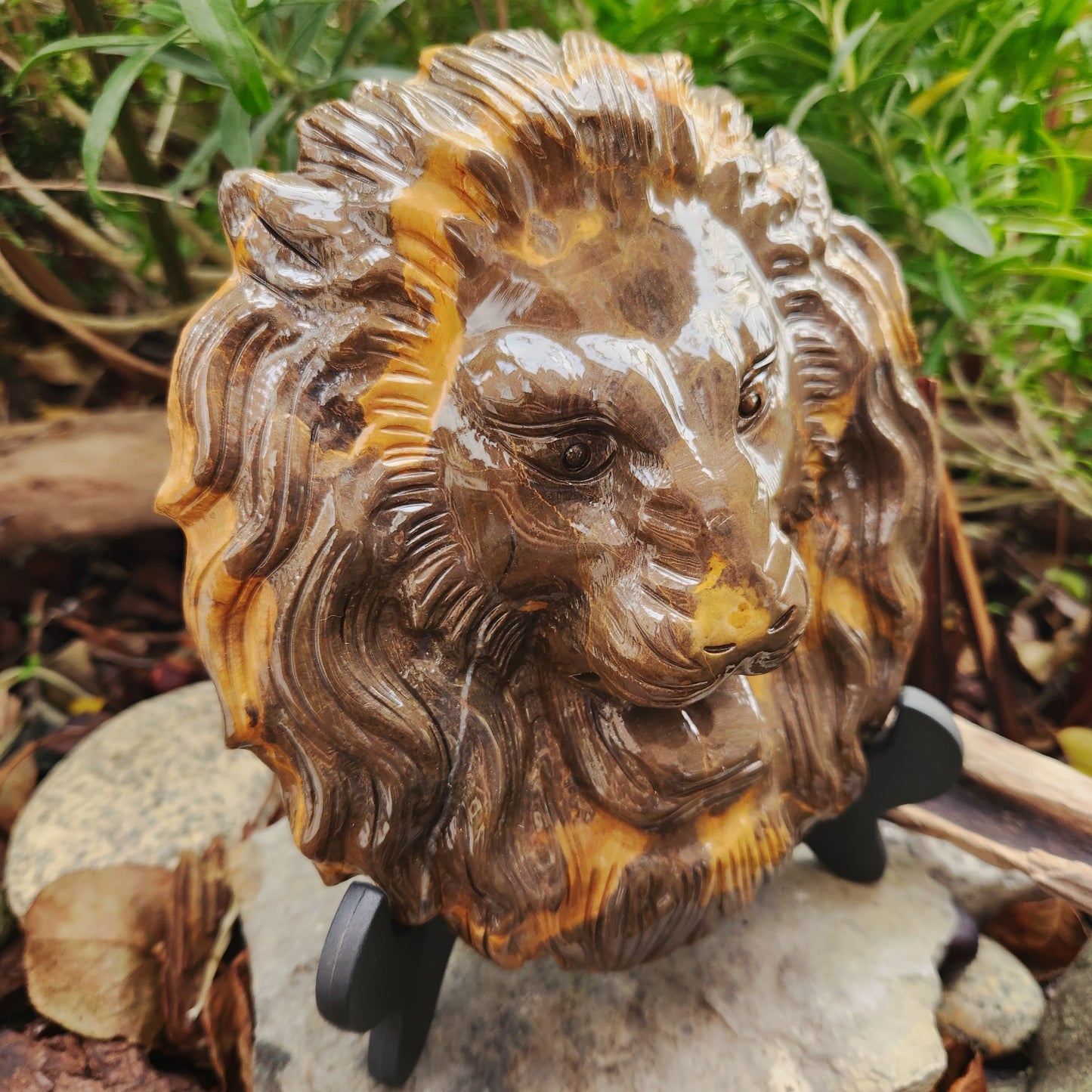 Sculpture Tête de Lion en Jaspe chocolat
