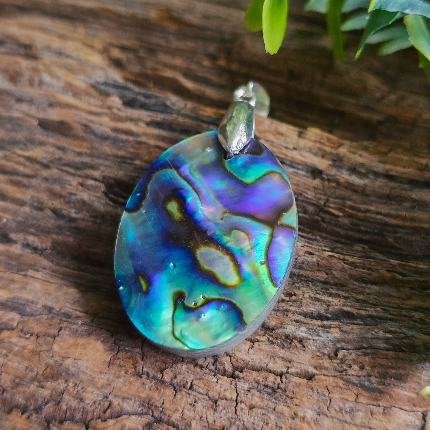 Pendentif en Abalone - n°2