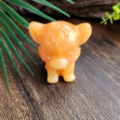 Simba (petit) en Calcite orange