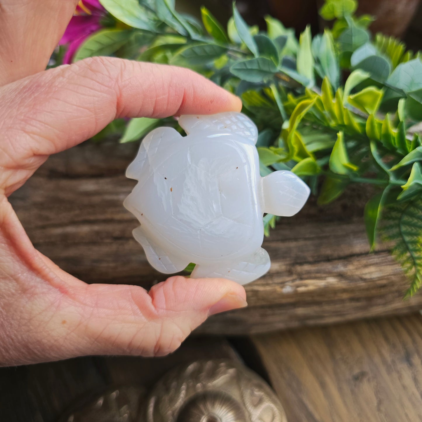 Tortue en Agate n°3