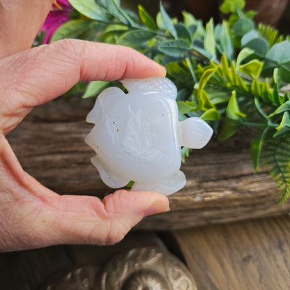 Tortue en Agate n°3