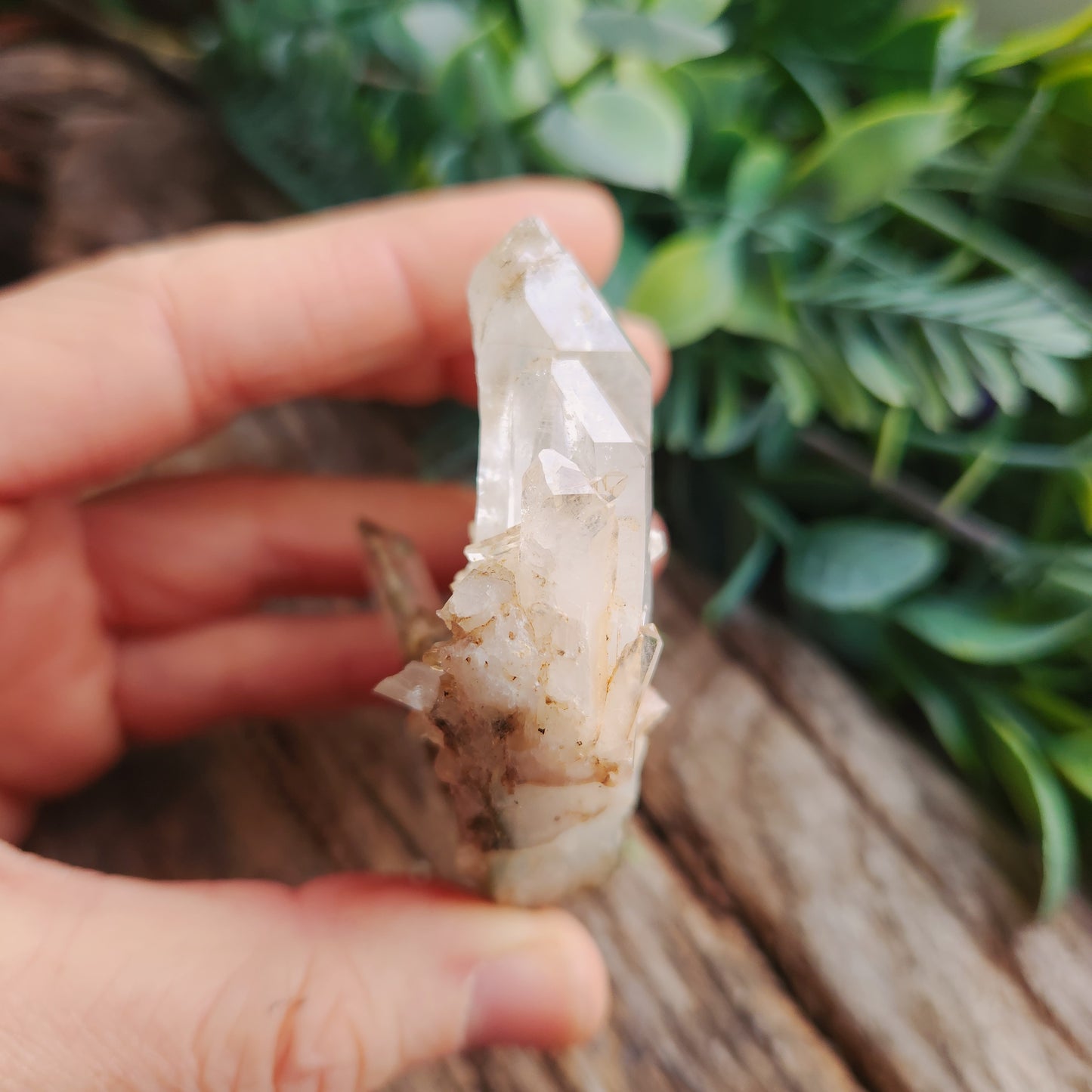 Quartz Chlorite montagne