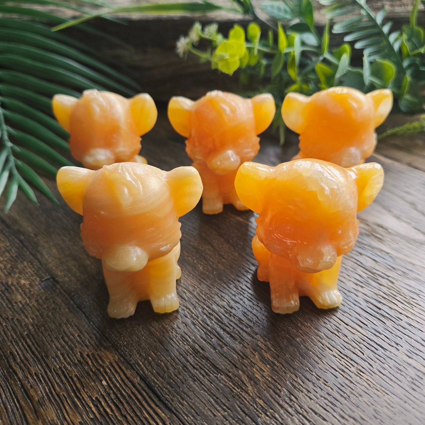 Simba en Calcite orange - 5,5cm
