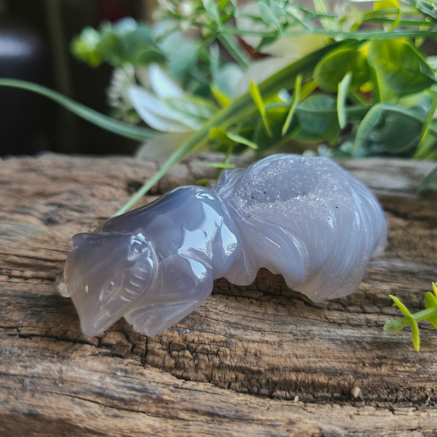 Renard en Agate n°3