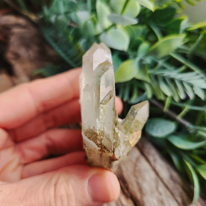 Quartz Chlorite montagne