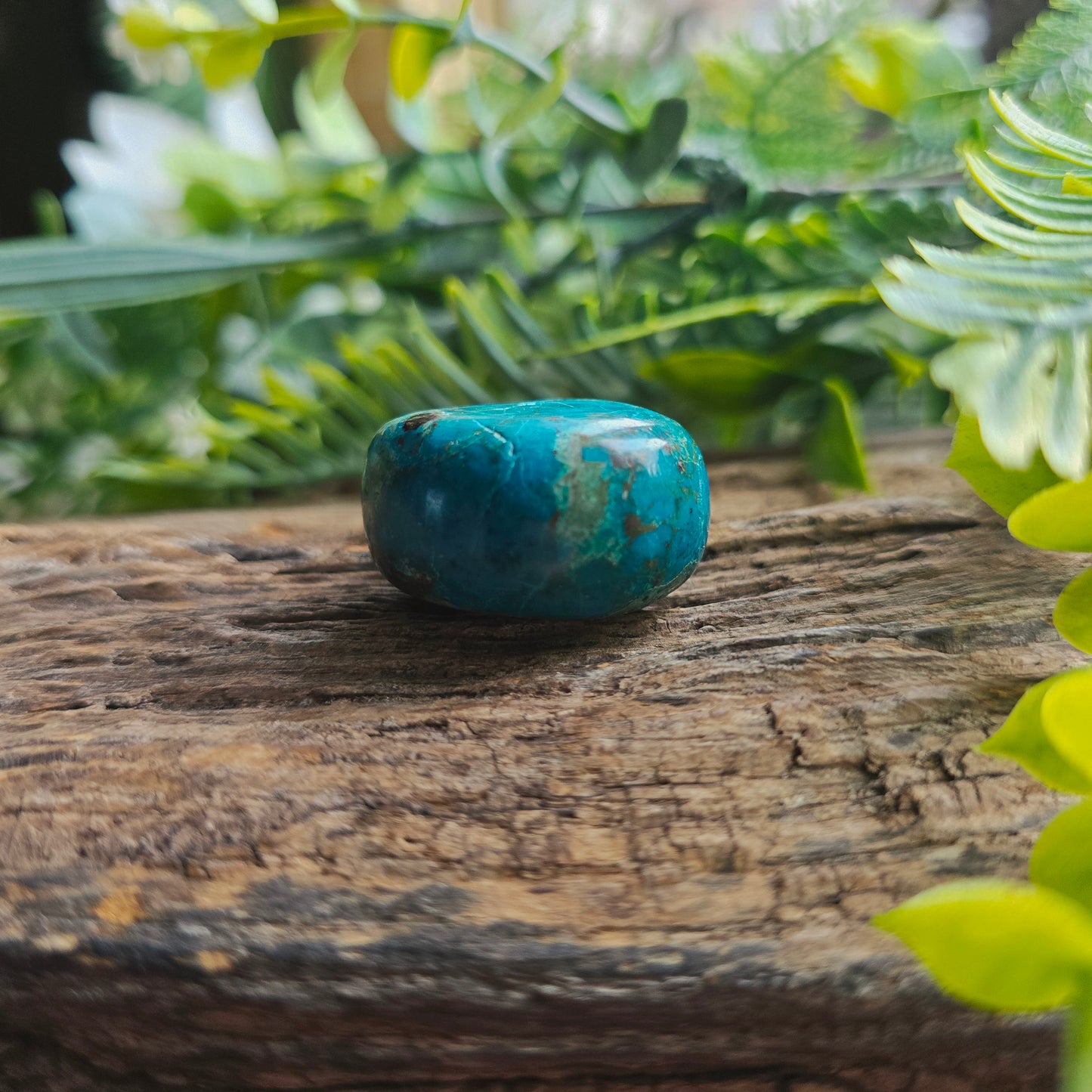Galet en Chrysocolle - n°2