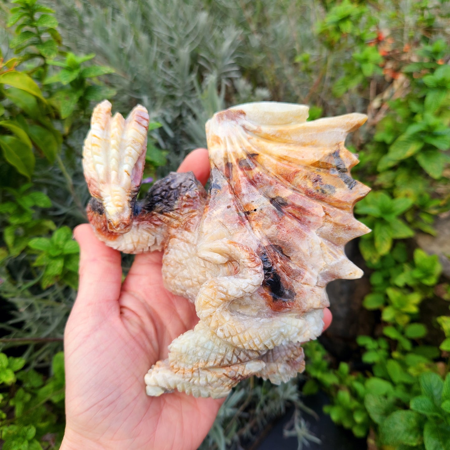 Sculpture de Dragon en Jaspe - n°2