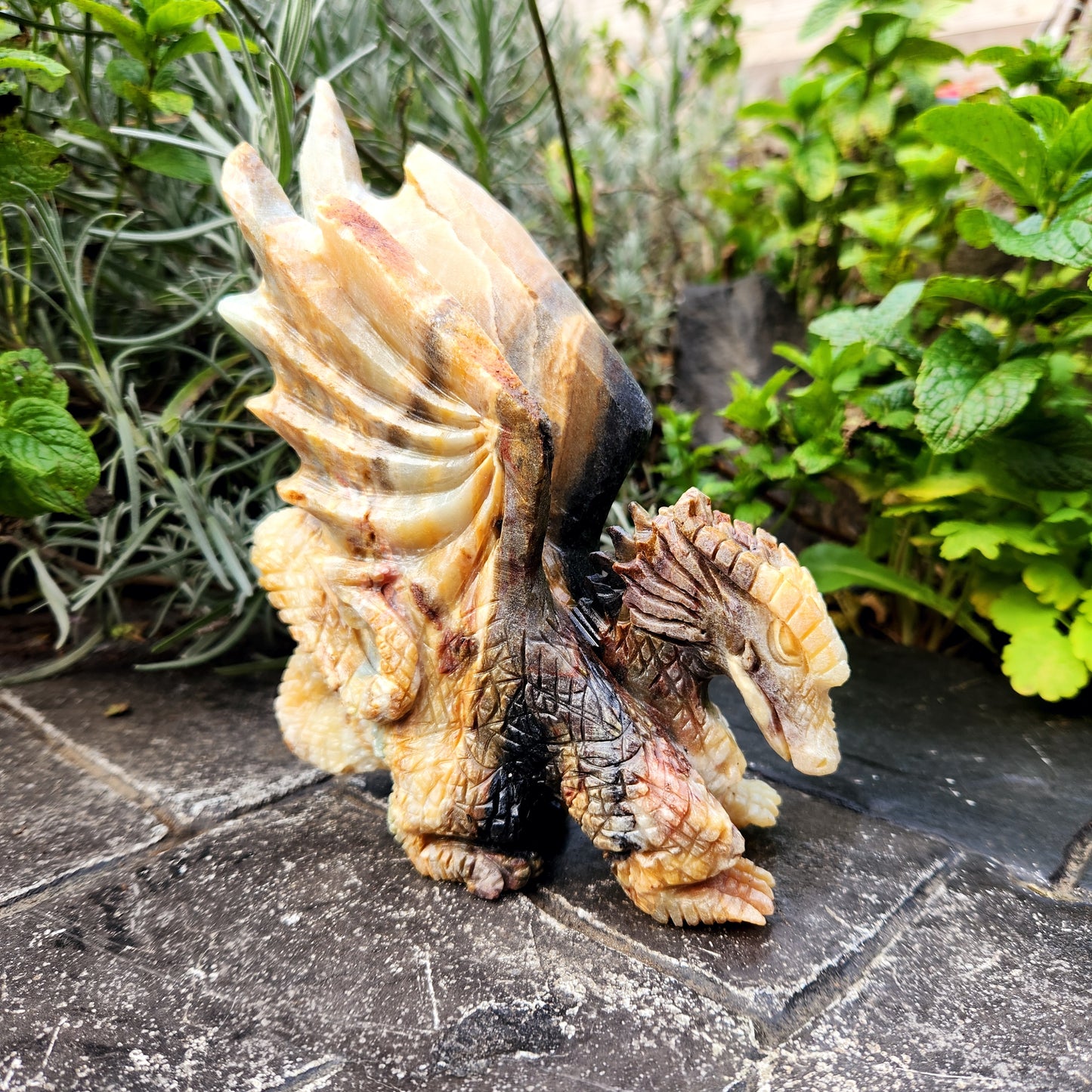 Sculpture de Dragon en Jaspe - n°1