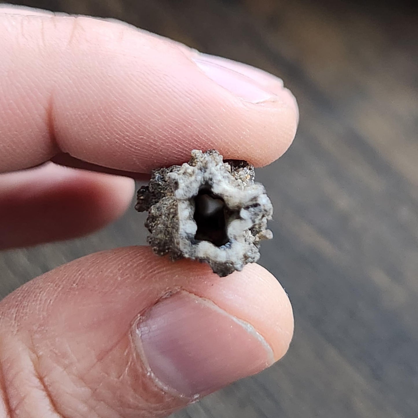 Fulgurite - n°1