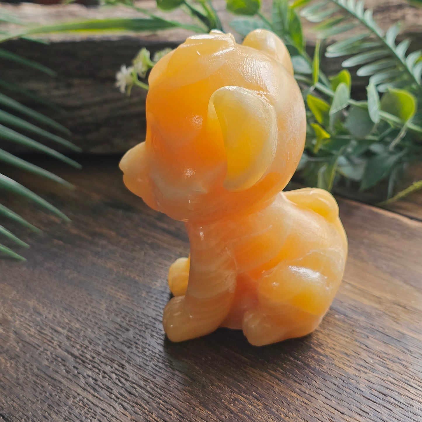 Simba en Calcite orange - 9cm