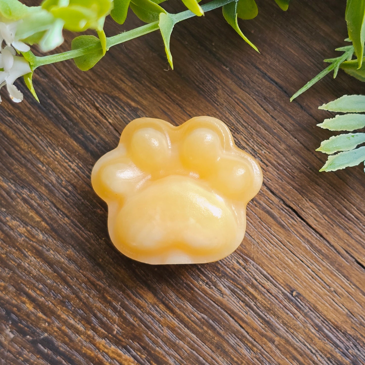 Patte de chat sculptés