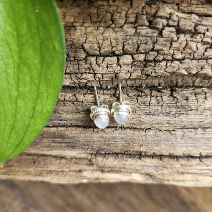 Boucles d'oreilles en Labradorite - Clous n°1 - Argent 925