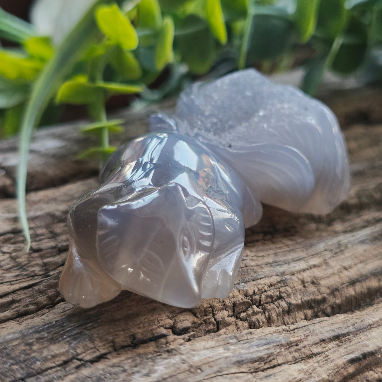 Renard en Agate n°3