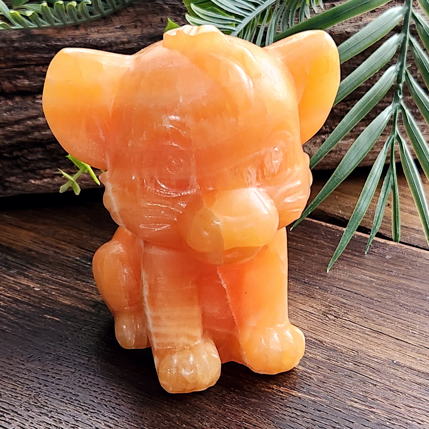 Simba (grand) en Calcite orange