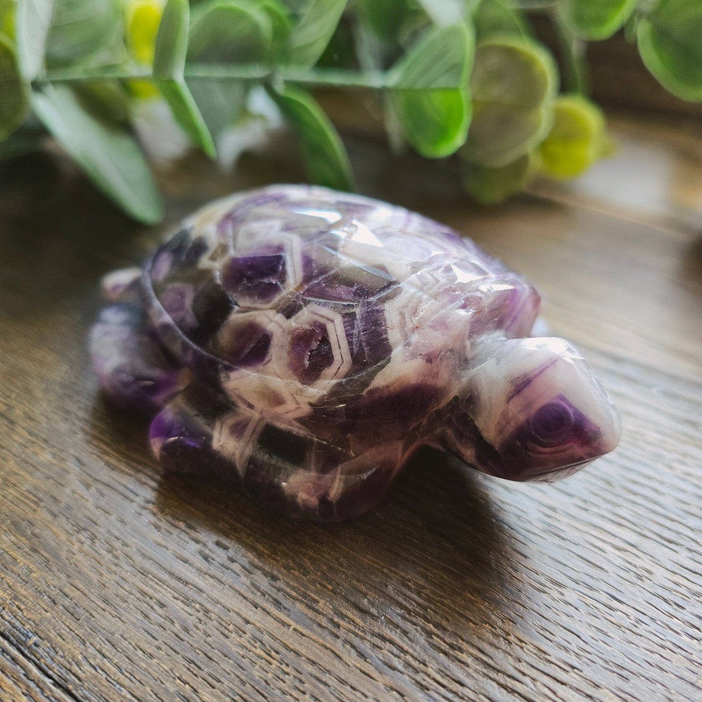 Tortue en Améthyste