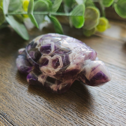 Tortue en Améthyste