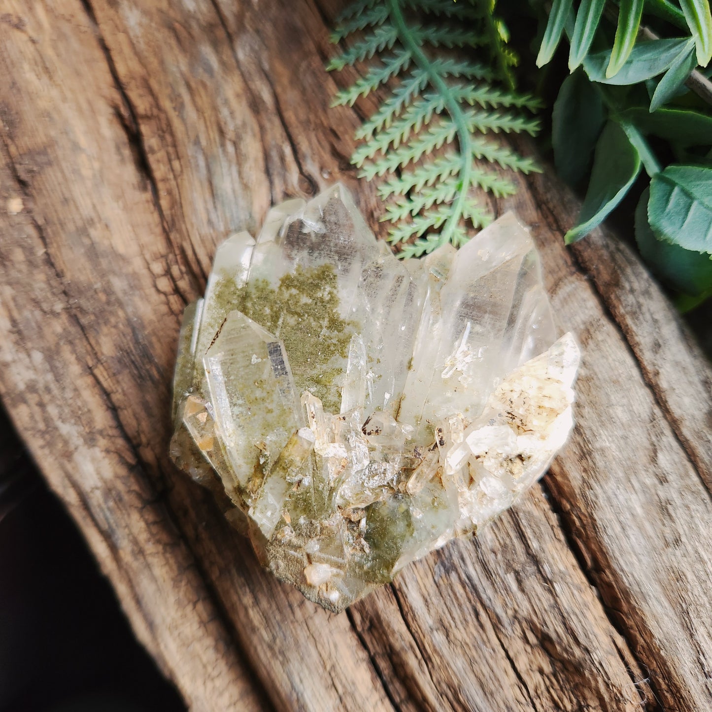 Quartz Chlorite montagne