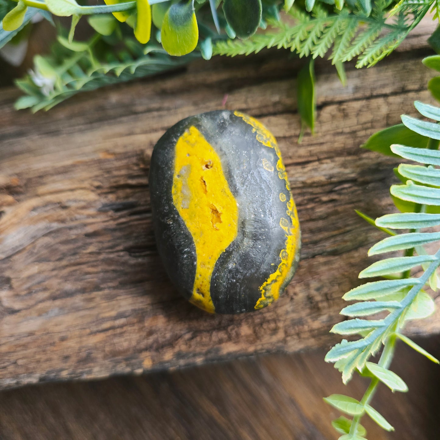 Galet en Jaspe Bumblebee - n°1