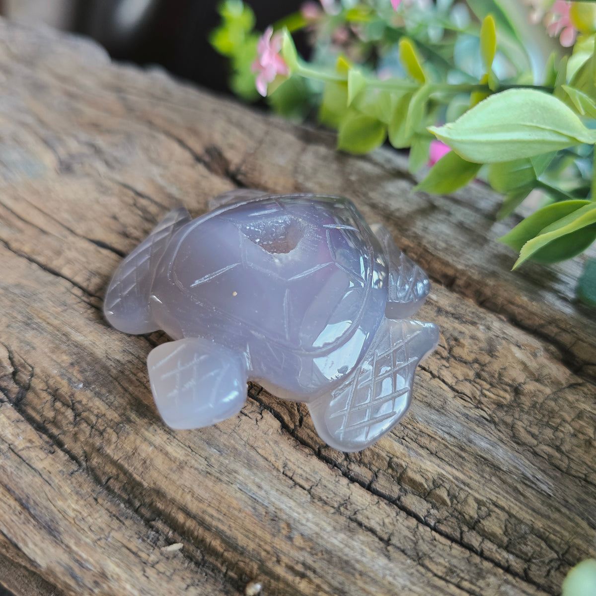 Tortue en Agate n°2