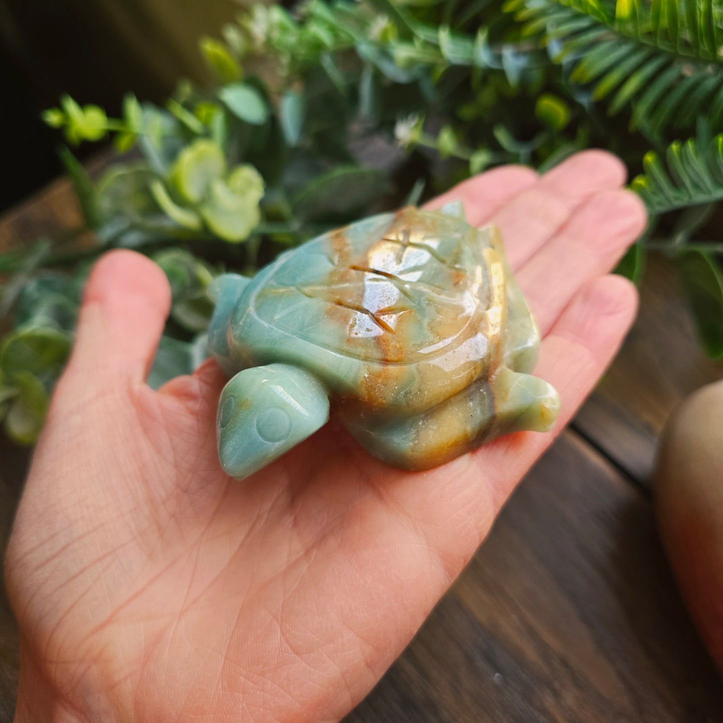 Tortue en Amazonite
