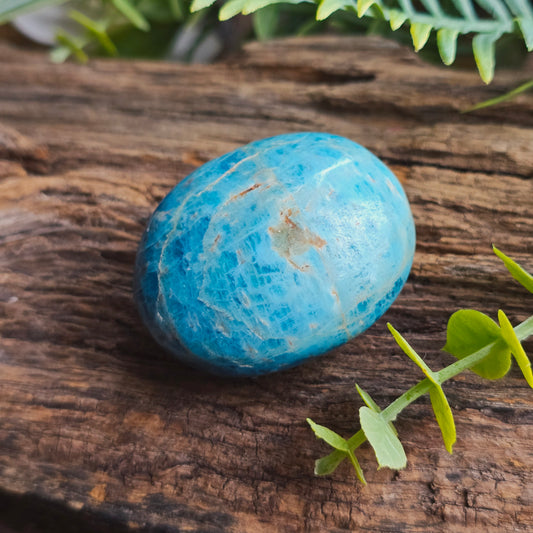 Galet en Apatite bleue - n°1