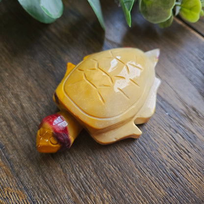 Tortue en Jaspe mokaïte - n°2