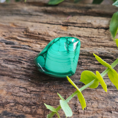 Galet en Malachite - n°4