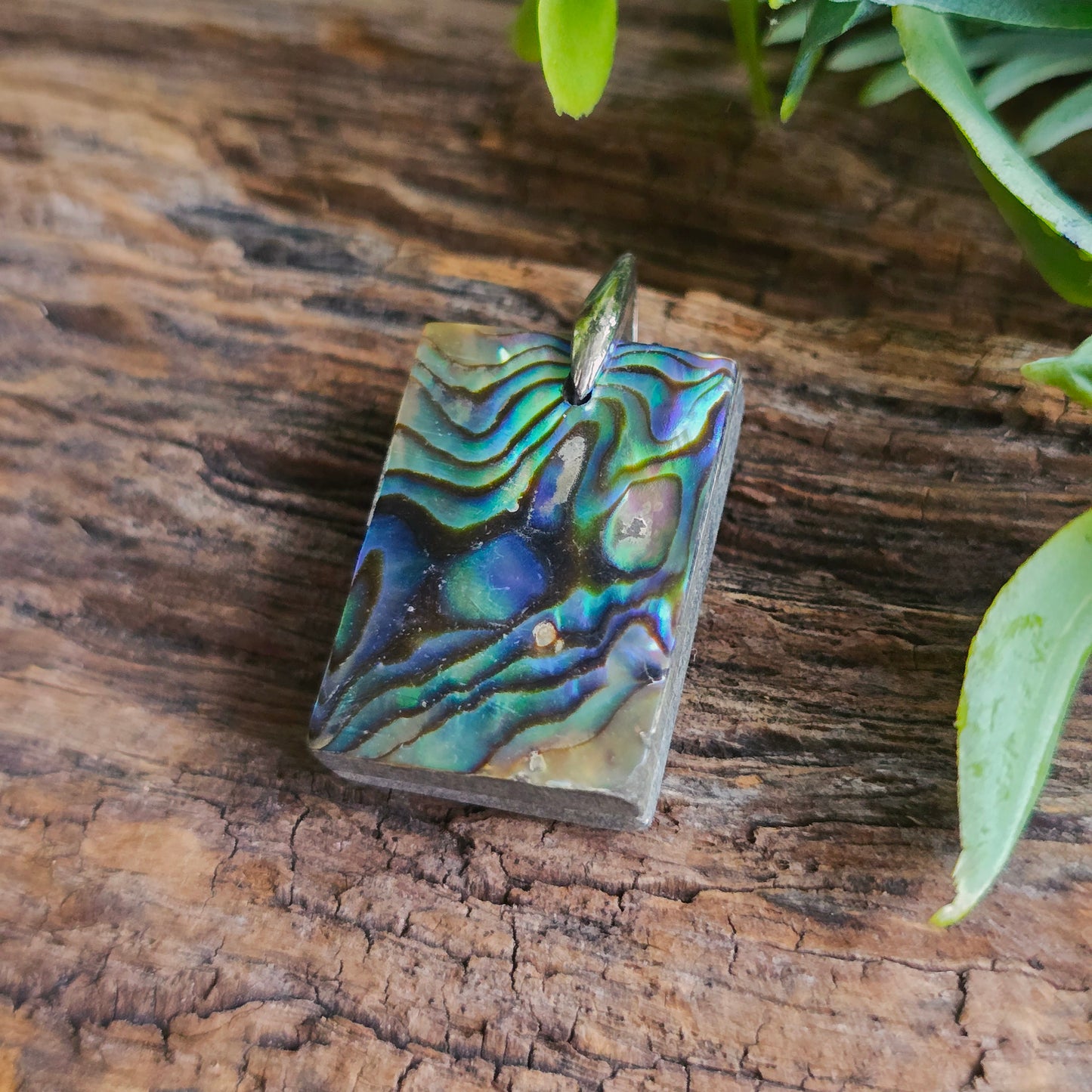 Pendentif en Abalone - n°3