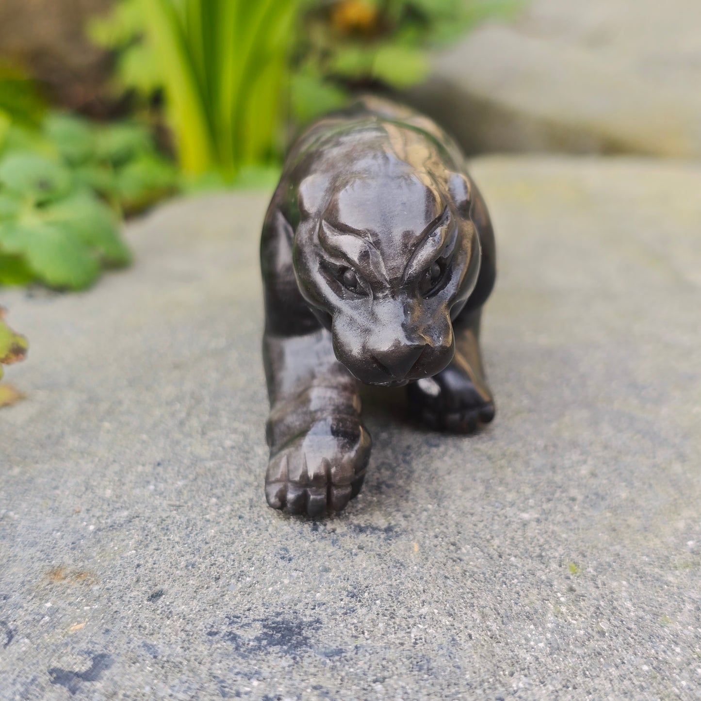 Léopard en Obsidienne argentée