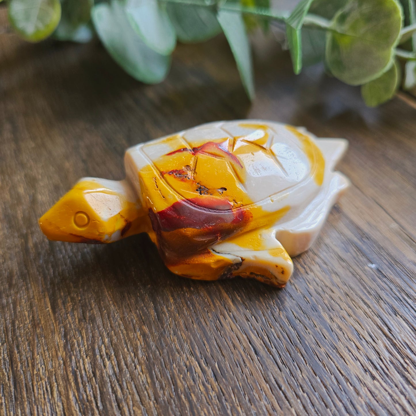 Tortue en Jaspe mokaïte - n°1