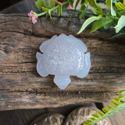 Tortue en Agate n°1
