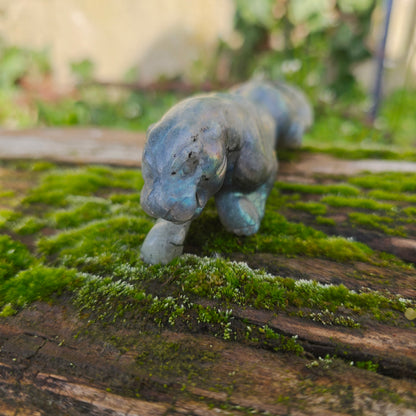 Léopard Labradorite - n°1