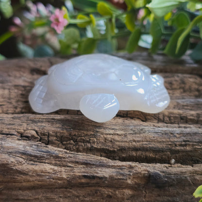 Tortue en Agate n°3