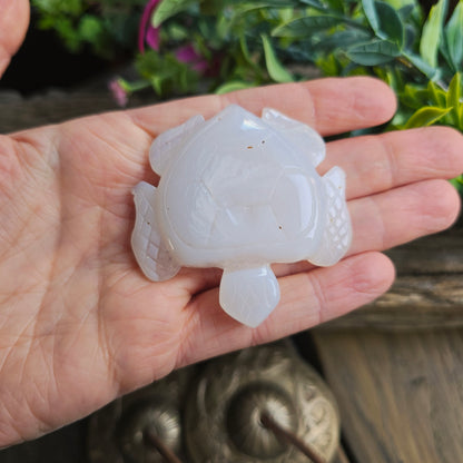 Tortue en Agate n°3