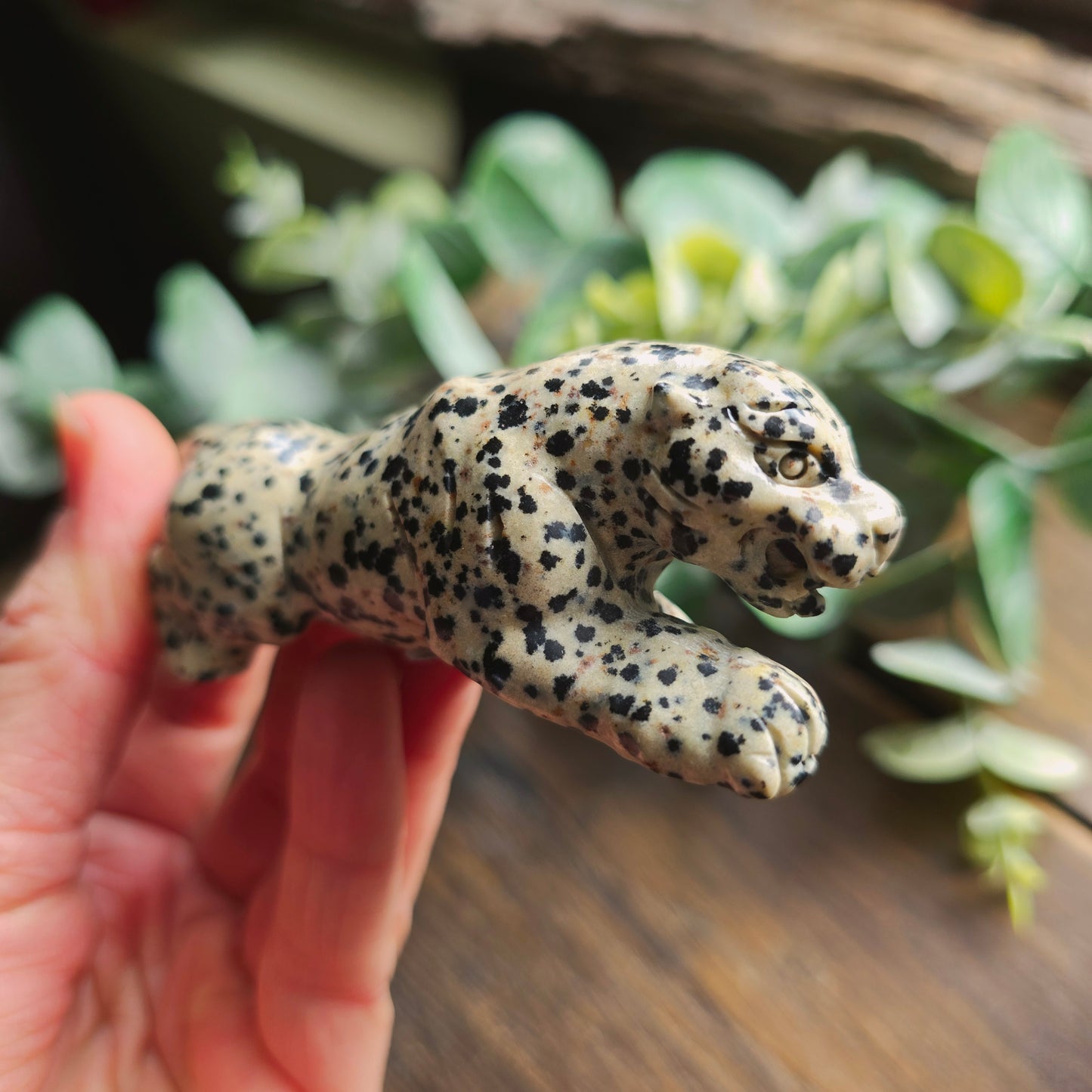 Léopard en Jaspe dalmatien - n°1