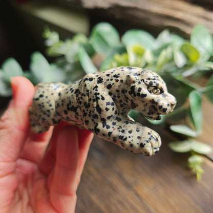 Léopard en Jaspe dalmatien - n°1