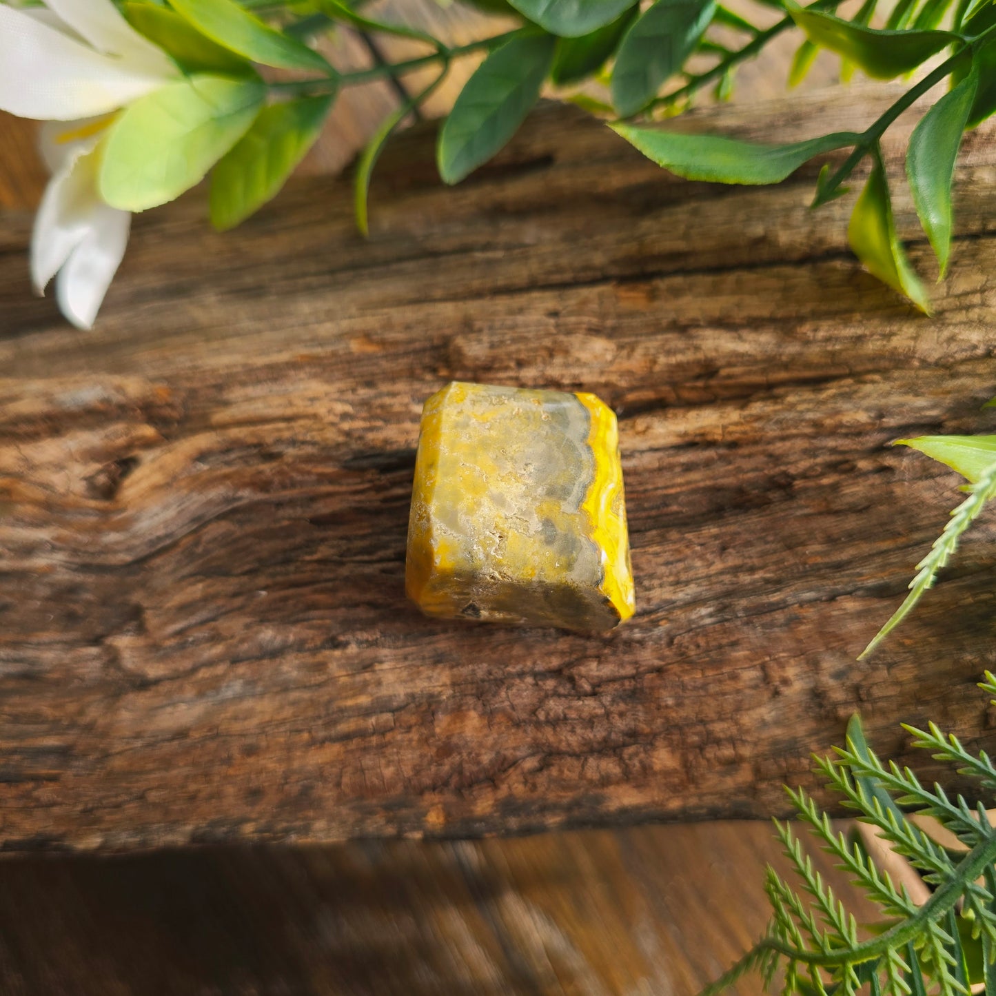 Galet en Jaspe Bumblebee - n°6