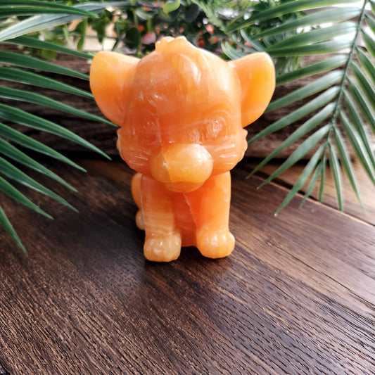 Simba (grand) en Calcite orange