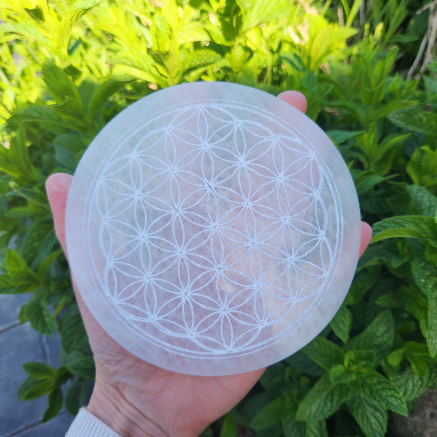 Plaque Fleur de vie 14 cm