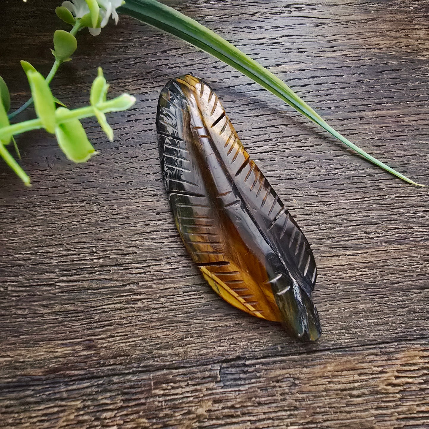 Plume en Œil de tigre - n°1