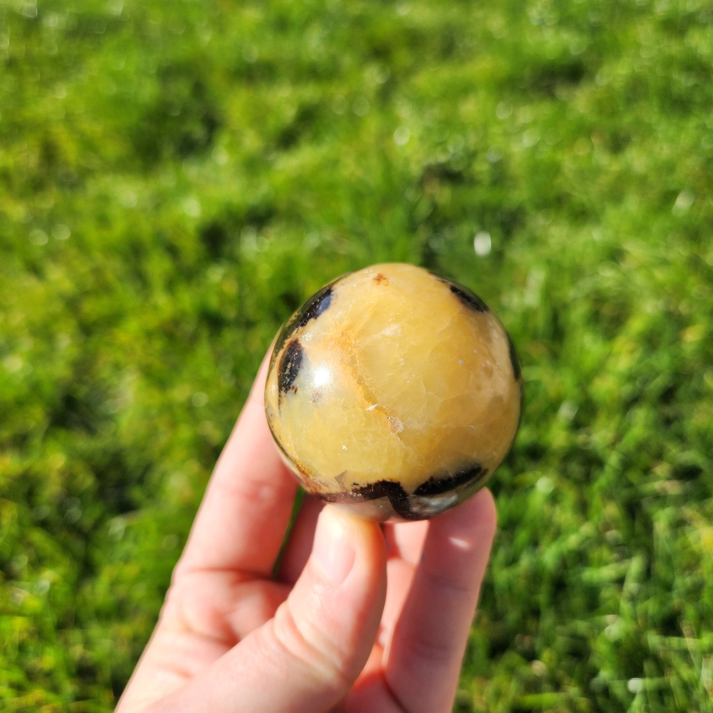 Sphère en Septaria - n°1