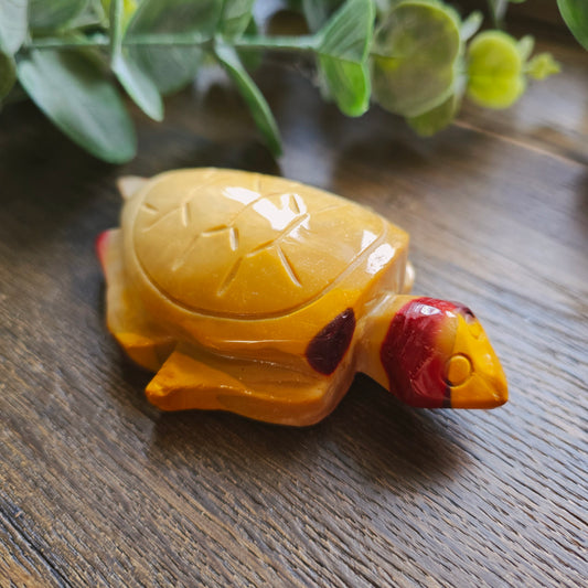 Tortue en Jaspe mokaïte - n°2