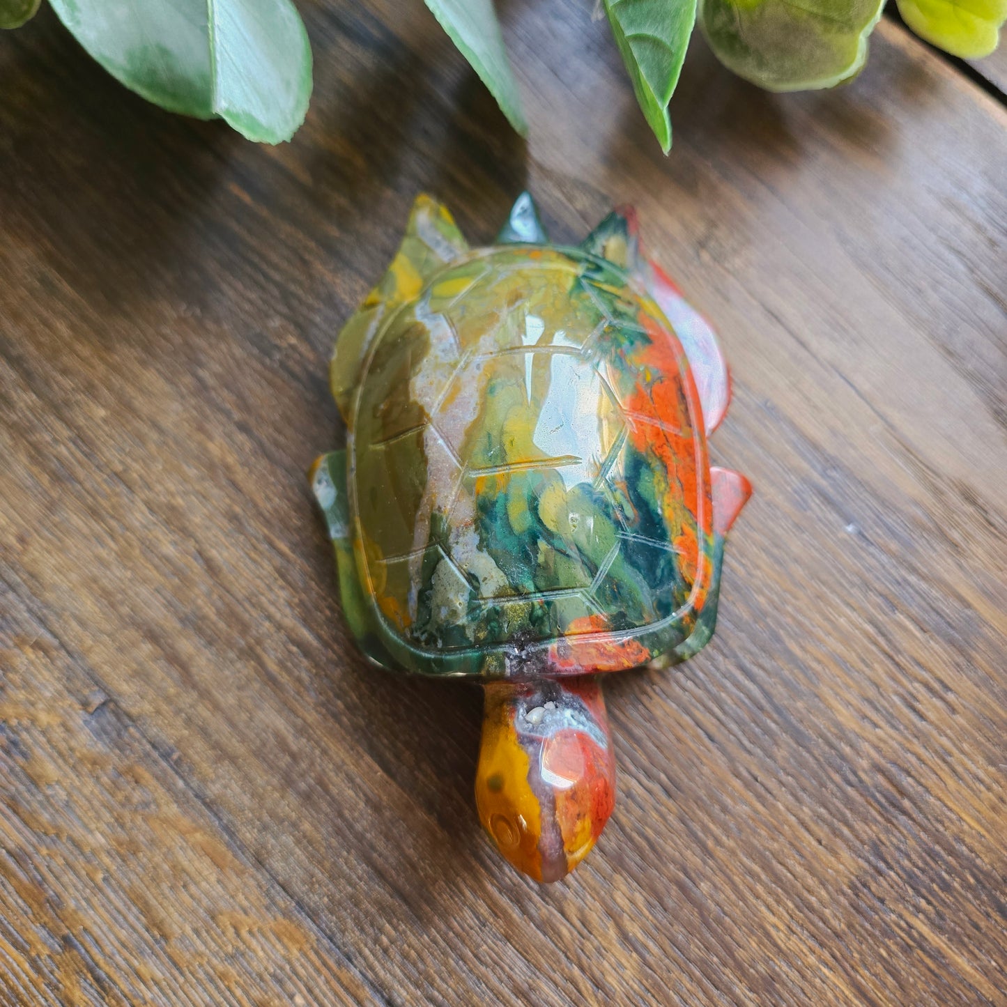 Tortue en Jaspe sanguin