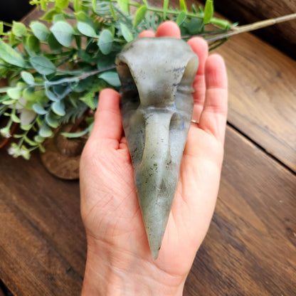 Crâne de corbeau en Labradorite