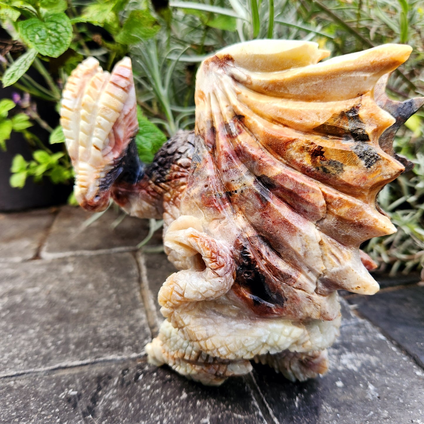 Sculpture de Dragon en Jaspe - n°2