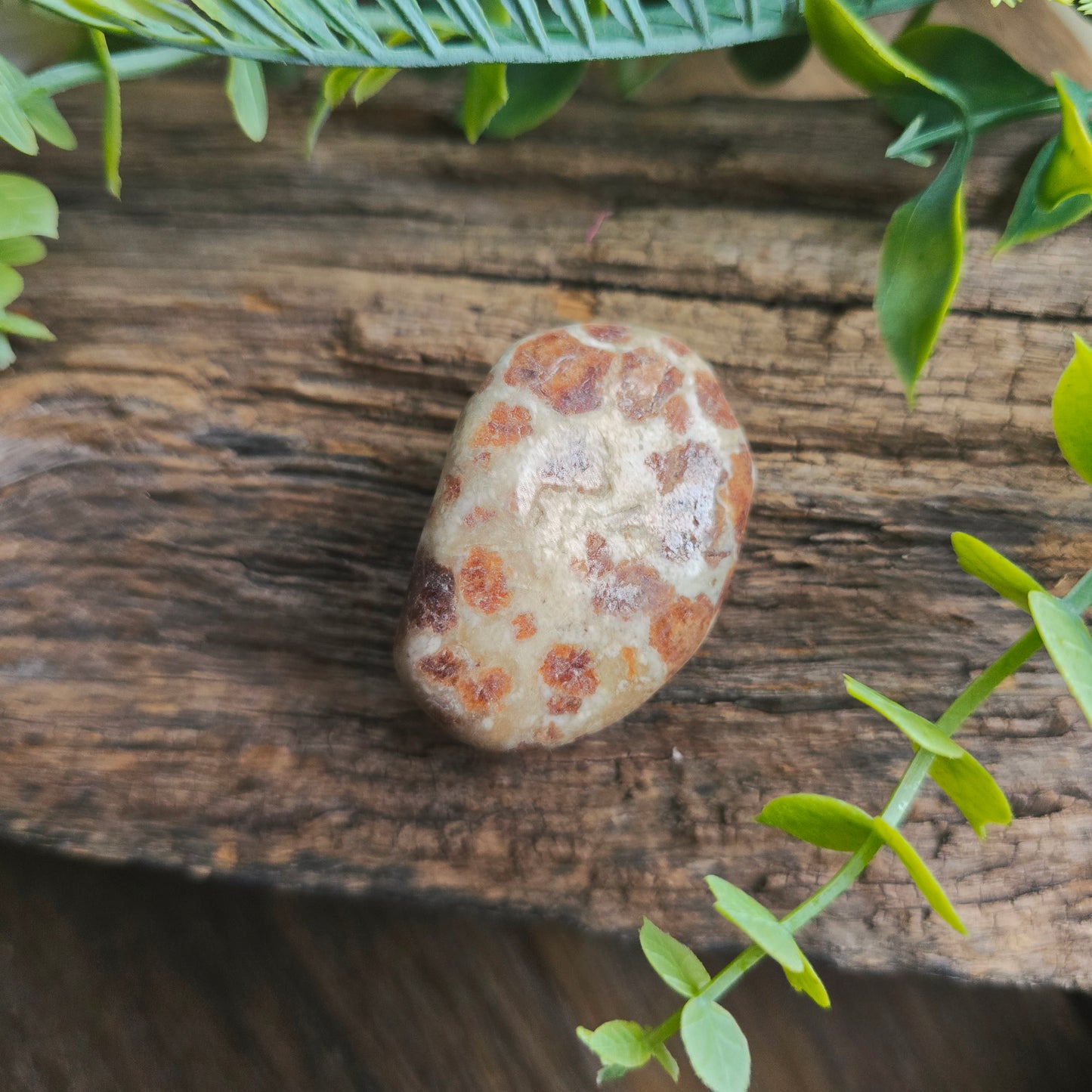Galet en Wollastonite - n°1