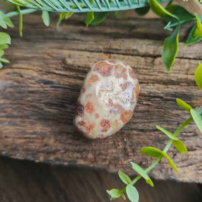 Galet en Wollastonite - n°1