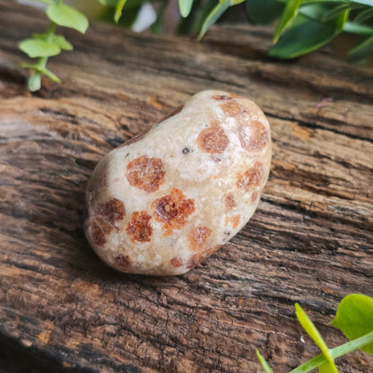 Galet en Wollastonite - n°1