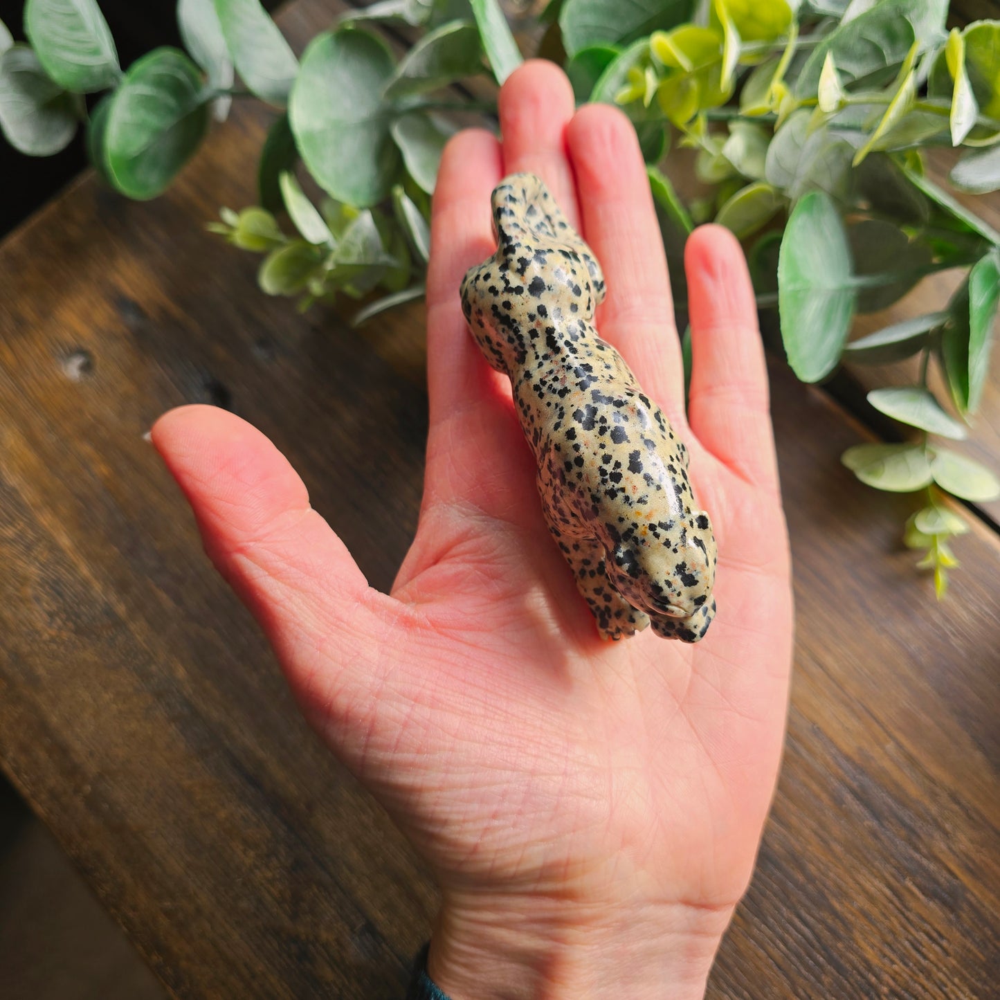 Léopard en Jaspe dalmatien - n°2